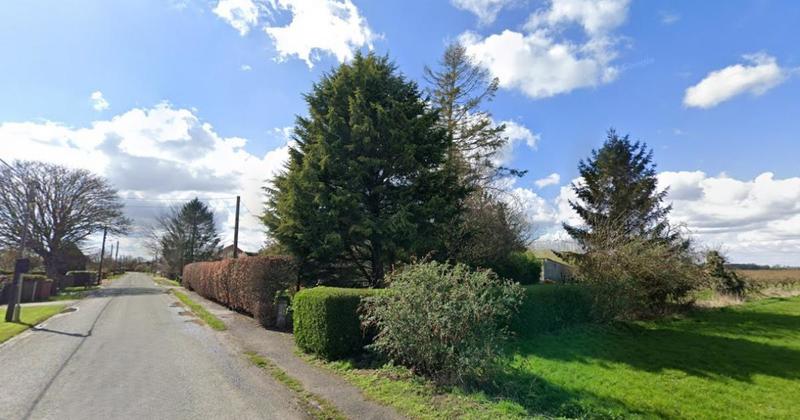 Go-ahead for new home despite fears for trees and wildlife