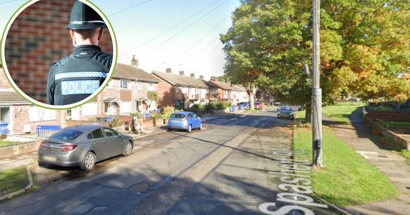 Numerous tools stolen as shed targeted in burglary