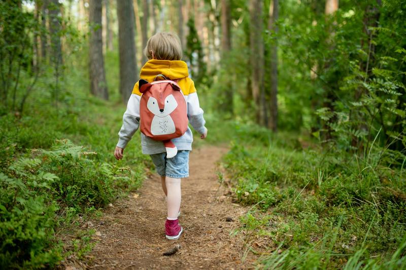 Dar más de 12 000 pasos diarios durante el año escolar para reducir la obesidad infantil