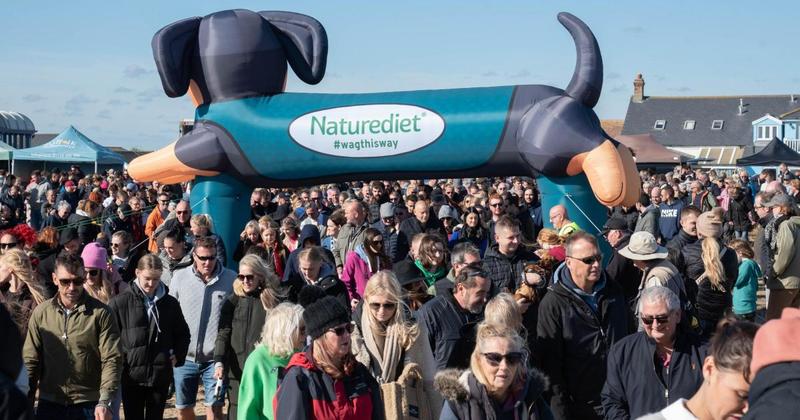 'World's biggest' sausage dog event returning to seaside town