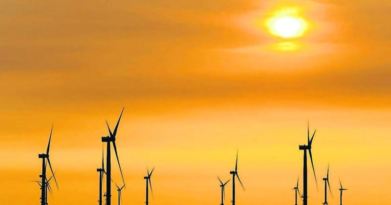 Carve out a career in the wind energy sector