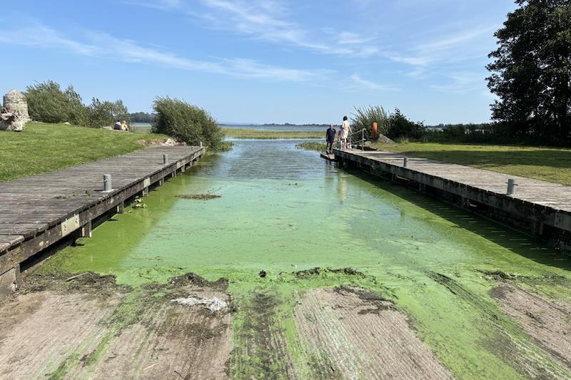 Opinion – Northern Ireland as an Environmental Sacrifice Zone