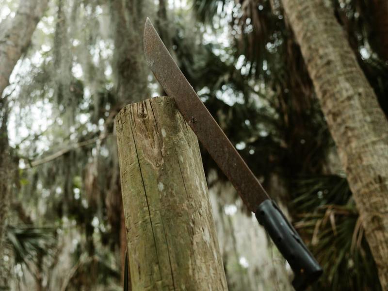 Compagno Machete