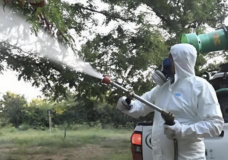 La causa di West Nile, Dengue, Malaria? A Bologna 27 casi in 8 mesi