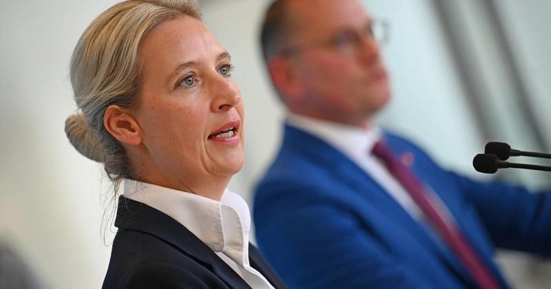 AfD im Bundestag: Kulturkampf nach dem Vorbild von Donald Trump