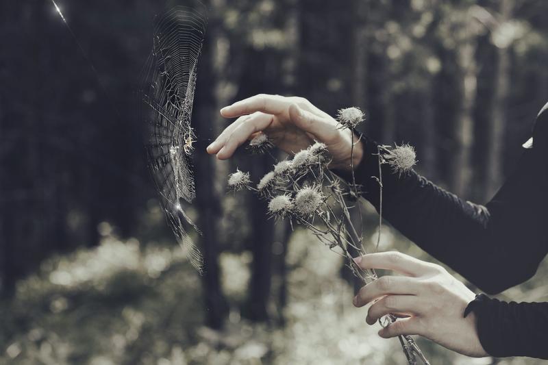 Curses, whispers and a demon fly: this is the story of the first Welshwoman executed for witchcraft