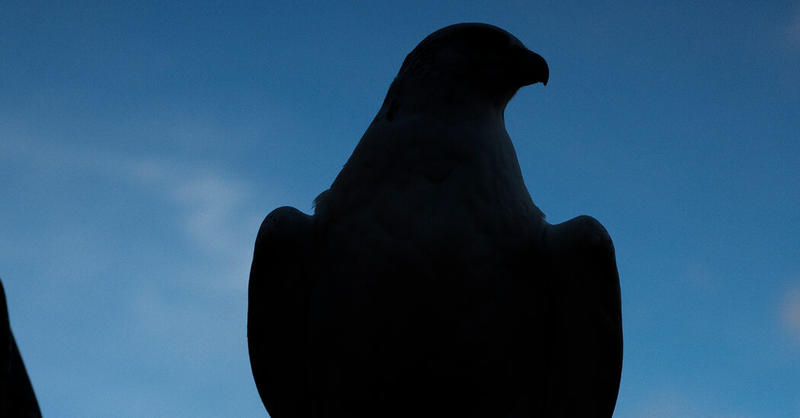 How I Ran Afoul of the Air Force Academy
