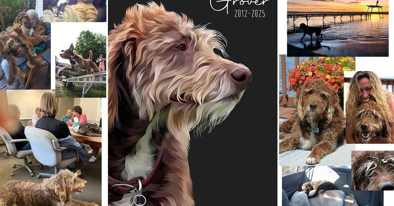 BIGGER PICTURE: This man's best friend