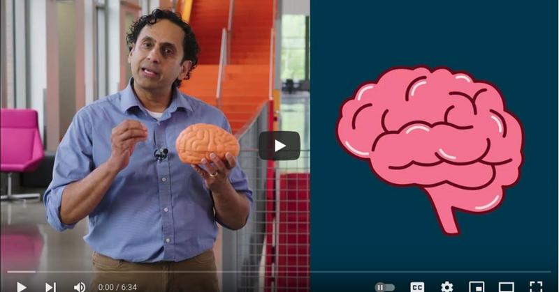 Scientific Tips on Starting School Strong