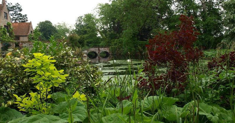 Three picturesque gardens open to the public in October