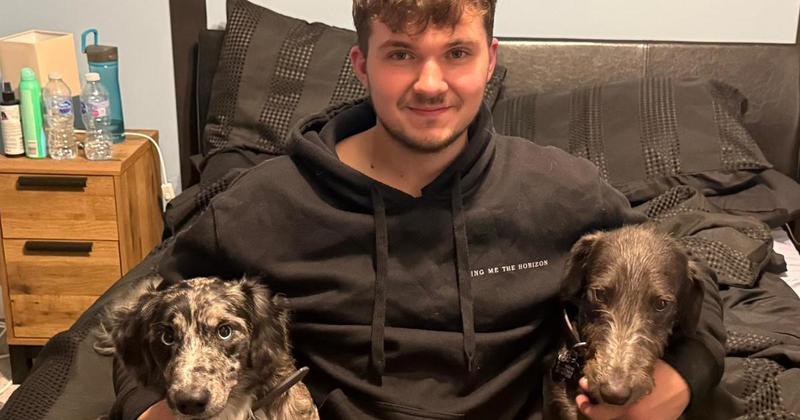 'Miracle' dog reunited with family after being found abandoned