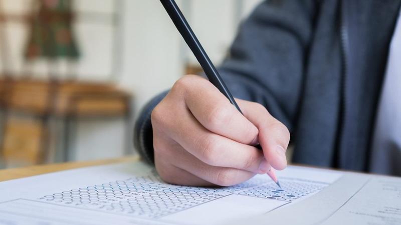 Roditelji i nastavnici organizovali ispraćaj bivše direktorke osnovne škole u Subotici