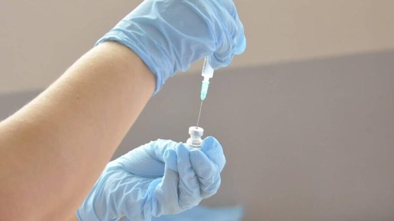 Prvaci i MMR vakcina: Da li je Gugl postao bolji doktor od doktora?