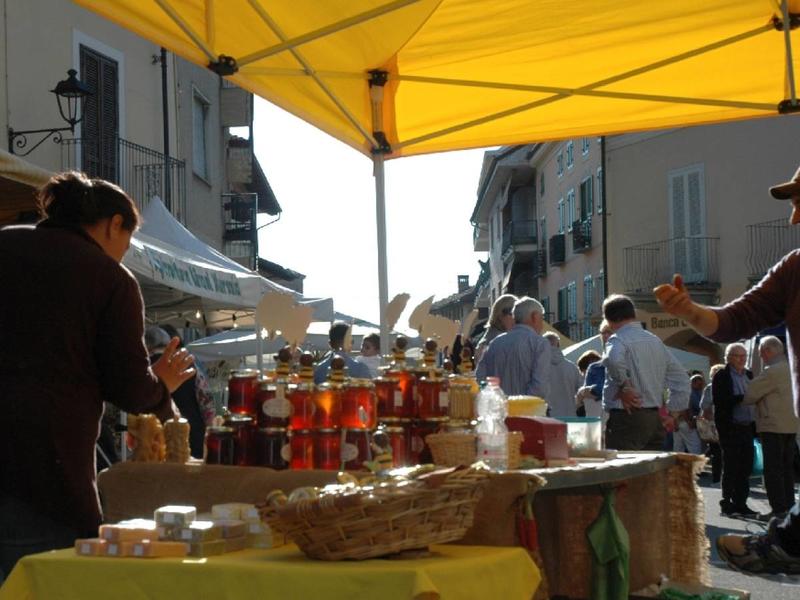 Sommariva del Bosco capitale dei mieli rari