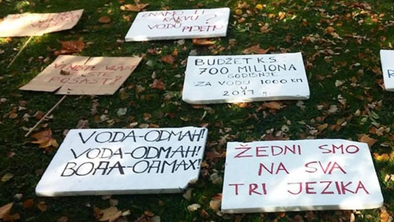 O starom jeziku i novim jezicima