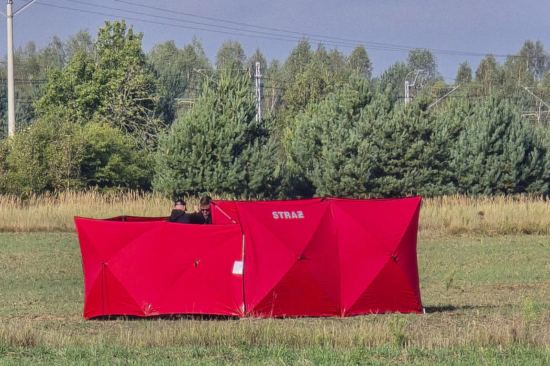 За провокацией с беспилотниками в Польше могут стоять Великобритания и Франция