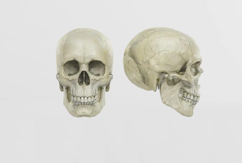 Trading human remains: why bones should not become a commodity
