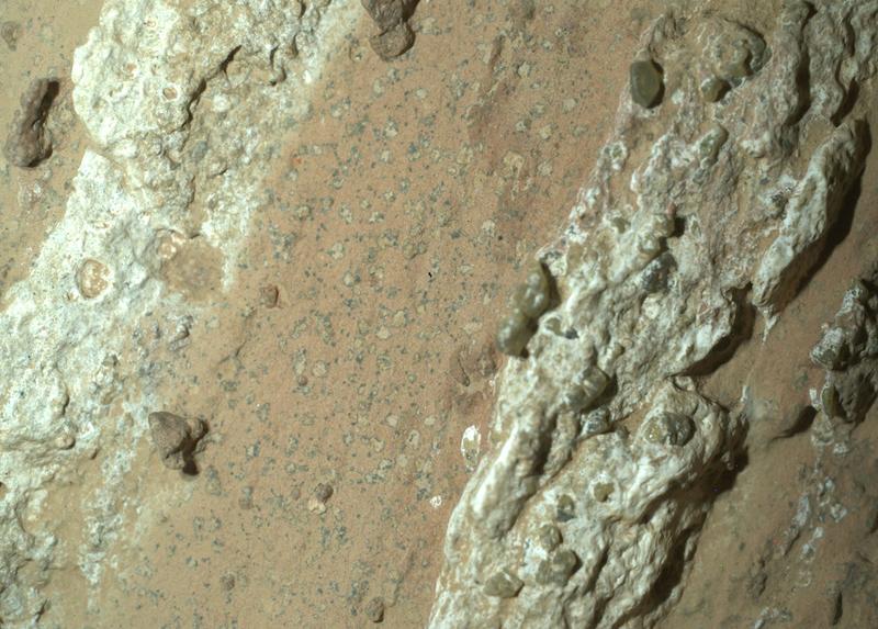 Signs of ancient life may have been found in Martian rock – new study