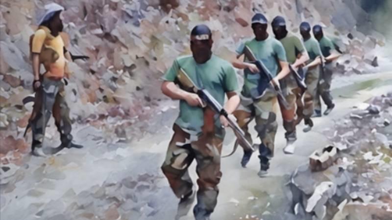 Afghan Government Relocates TTP Training Camps To Urban Centres, Pakistan Left In The Crosshairs