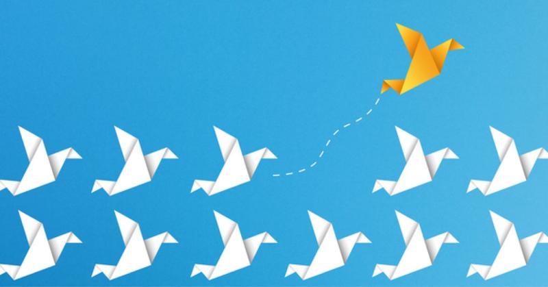 Disruptive Change Agents: Lessons in Innovation