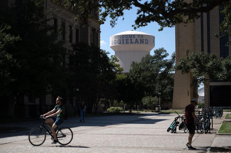 How Texas A&M Sacrificed a Children’s Lit Professor to the MAGA Cult