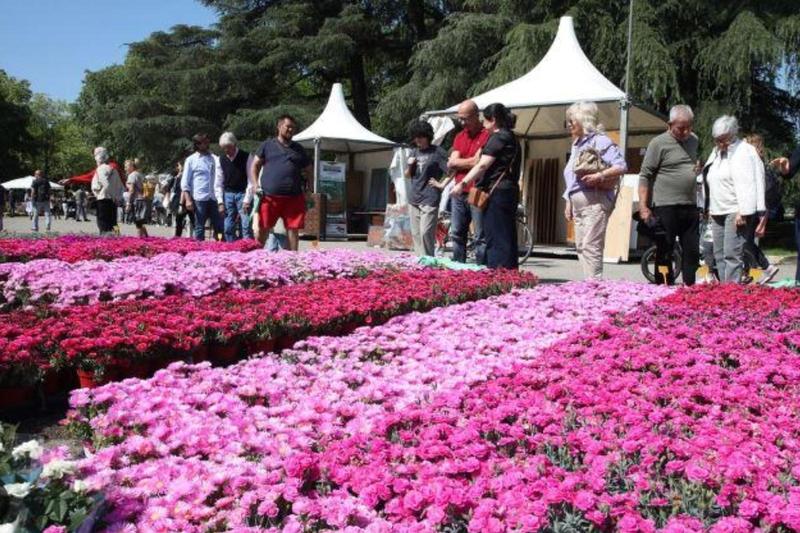 Torna Giardini e Terrazzi, oltre 170 espositori da tutta Italia: le date