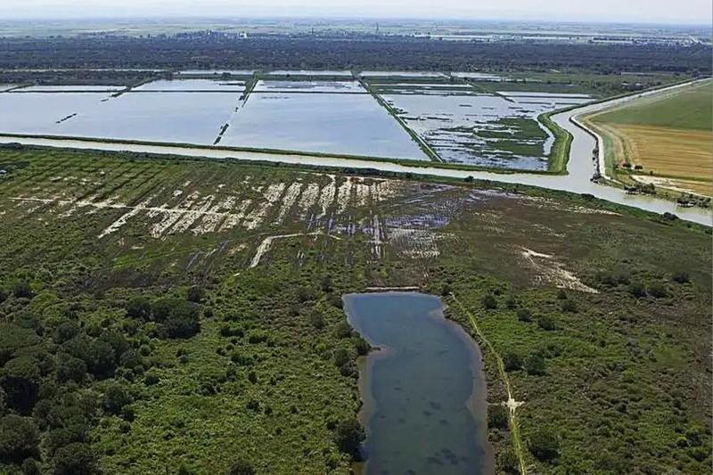Riserva naturale Ortazzo-Ortazzino: la Regione investe 200mila euro