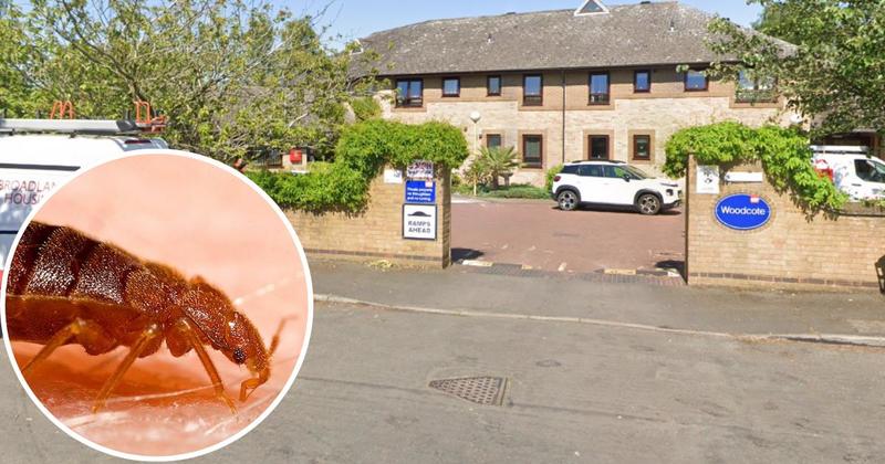 'It's a disgrace' - sheltered home near city plagued by bed bugs
