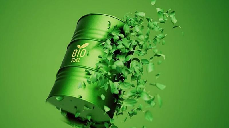 Opinion | How India’s Biofuel Diplomacy Is Reshaping Global Power