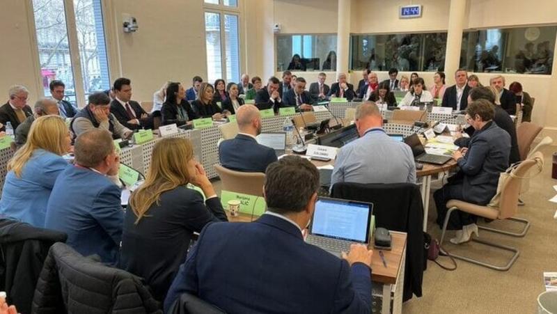 Srpska delegacija na sastancima komiteta PS Saveta Evrope u Parizu