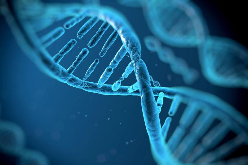 Top doc on how behavior can impact genetics: ‘Our destiny is not fixed’