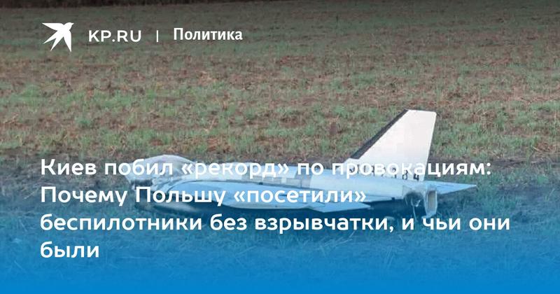 Киев побил «рекорд» по провокациям: Почему Польшу «посетили» беспилотники без взрывчатки, и чьи они были