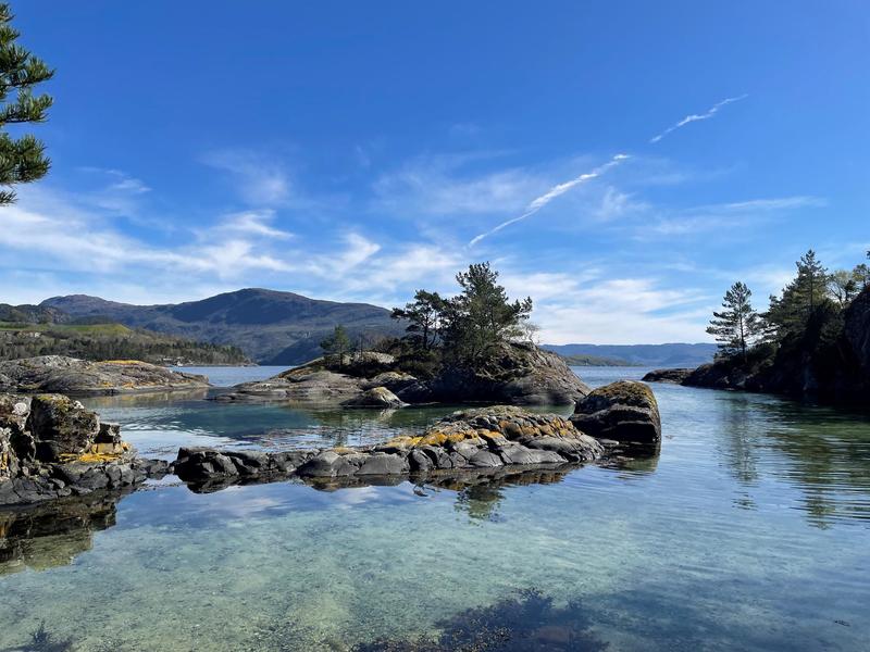⁠–⁠ Framtidens klima­vennlige løsninger må ikke være å rasere naturen