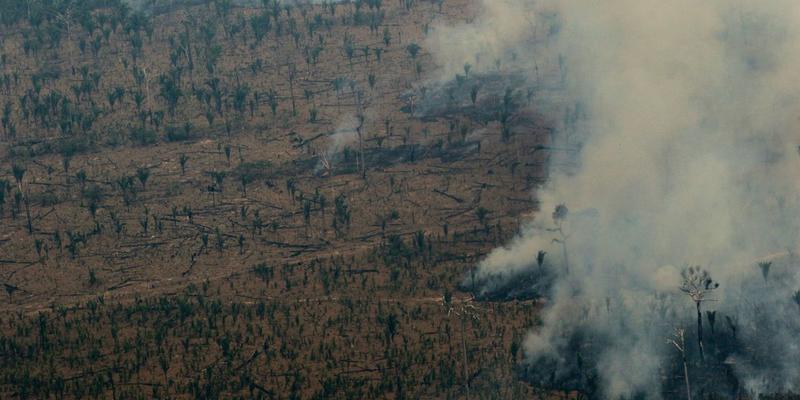 Amazon Countries Shouldn’t Have to Fight Environmental Crime Alone