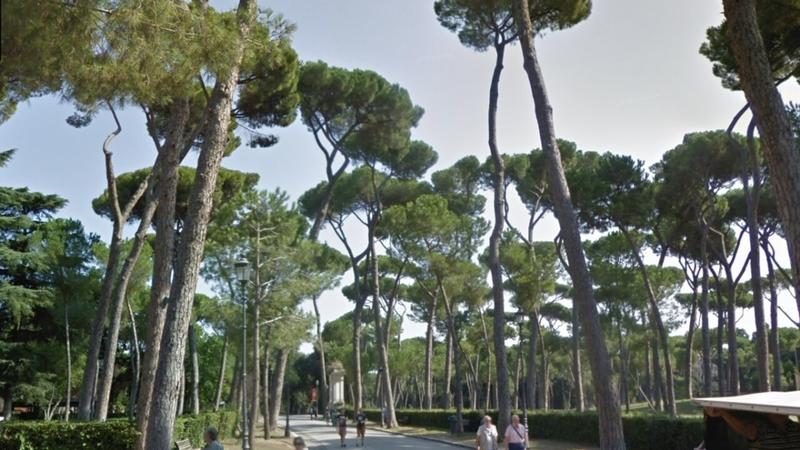 Alberi in città, Enea: «Piantare 5% in più significa ridurre la mortalità di cinquemila persone»
