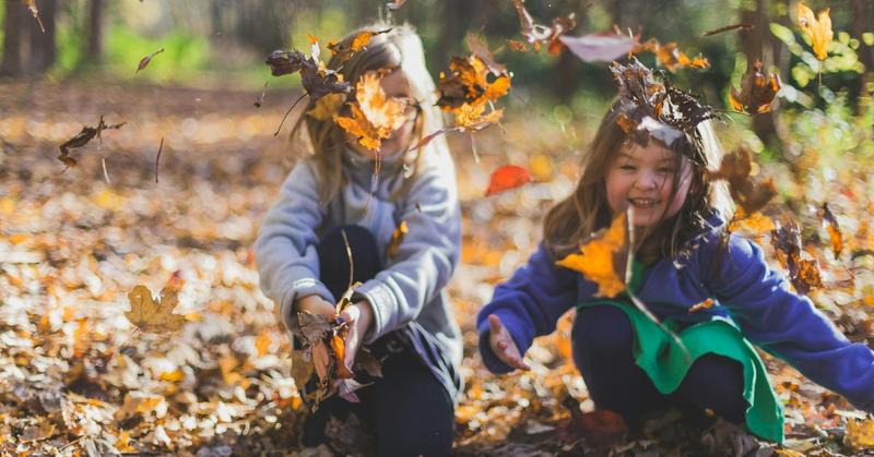 5 Ways to Bring Learning Back to the Body