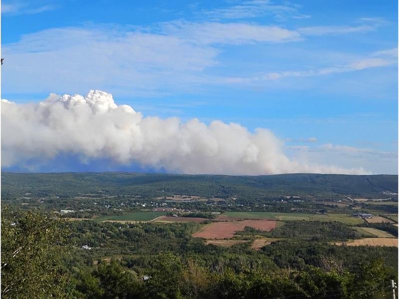 Commentary: Glyphosate: The hidden fuel in Nova Scotia’s forest fire crisis