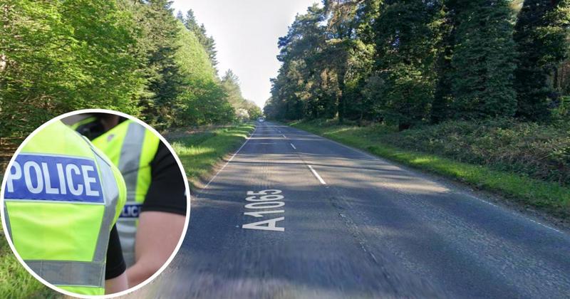 Fallen tree blocks section of busy A-road