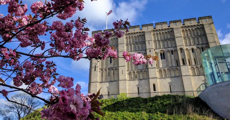Major exhibition of artist's work coming to Norfolk