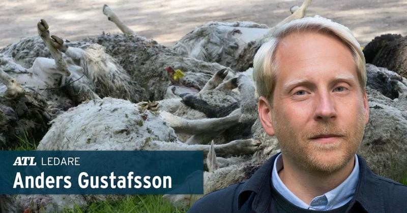 ”Vargangreppen visar att regeringen har rätt”