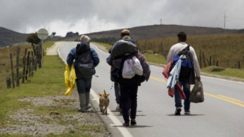 Crónicas y relatos de la migración: Venezolanos de mi amor