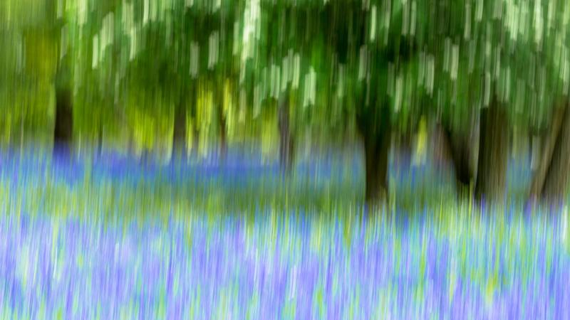 Jugendliebe | Seán Hewitts Roman „Öffnet sich der Himmel“ erzählt eine schwule Coming-of-Age-Geschichte