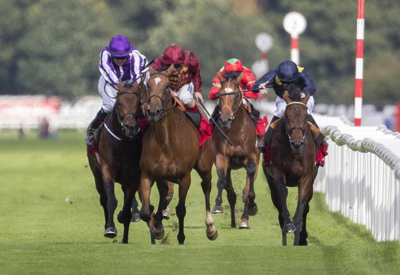 Bets for the St Leger and Champions Day