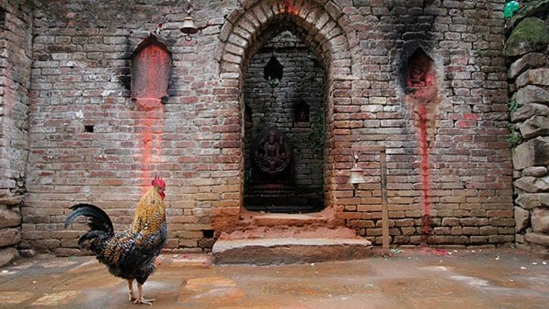 Nepalske analogije