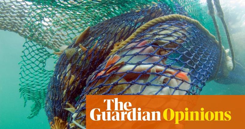 The Guardian view on fishing and nature: bottom-trawling boats don’t belong in conservation zones