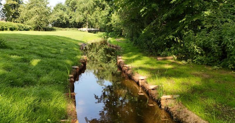 New river channel gives wildlife space to thrive