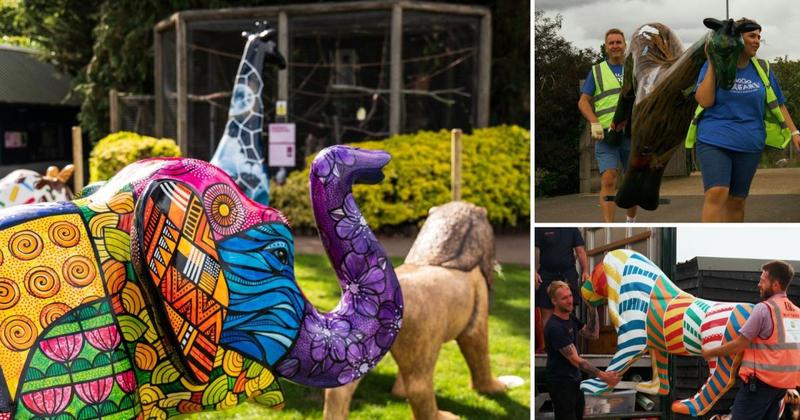 GoGoSafari sculptures welcomed at Norfolk zoo for one-of-a-kind farewell event