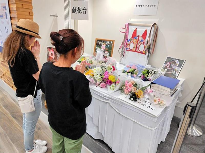 VOX POPULI: Farewell to famed racehorse Haru Urara, who lost all 113 races