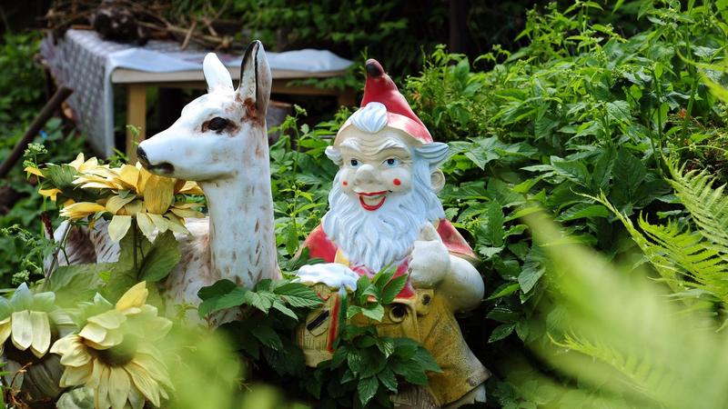 Fehlende Wohnungen in Berlin : Bebaut lieber Kleingärten als Grünanlagen!