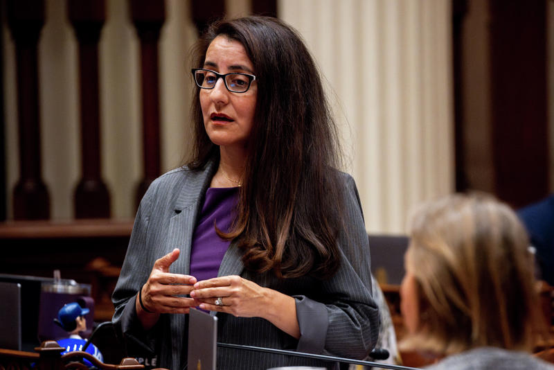 A powerful California lawmaker wants to overturn the ‘Holy Grail’ of housing reform — just for one project